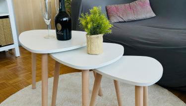 F2 lumineux 40 m2 Face aux thermes de Thonon. - Foto 5