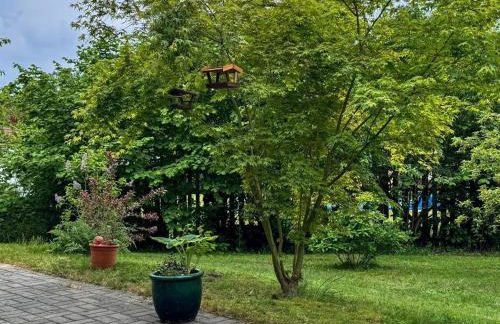 Ferienwohnung Roswitha - Foto 8