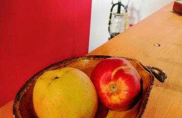 Art Apartament Puszczykowo - Foto 23