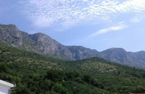 Sobe Stanković - Foto 30