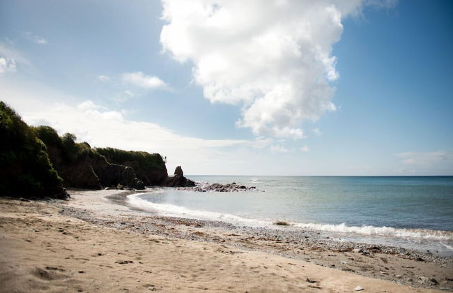 Killigarth Manor Holiday Park - Foto 1