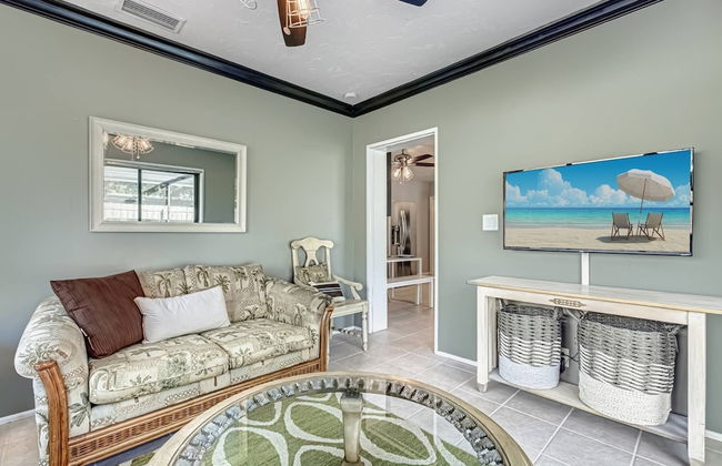 Happy Gecko - Foto 28