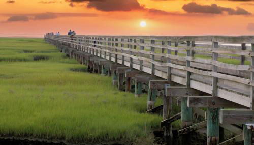 Family-Friendly Central AC Near Beach - Foto 5