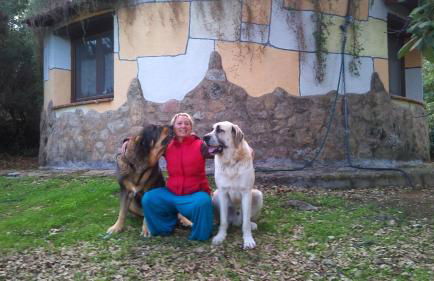 Apartamentos Rurales Ecopangea - Foto 35