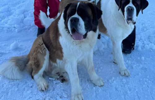 Chez Vovone 3 étoiles clévacances - Foto 5