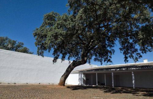 Casa del Príncipe - Foto 43