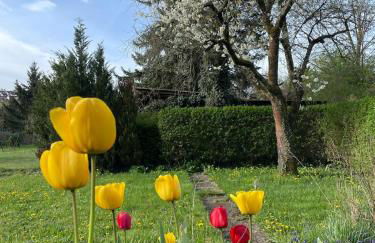 FeWo Pelkmann Apartment 1 - Die Grüne Oase in Weikersheim - Foto 1