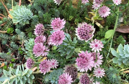 Bright and Elegant 2 Bedroom Flat, near Notting Hill - Foto 29