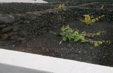 Dream View in Pico - Photo 21