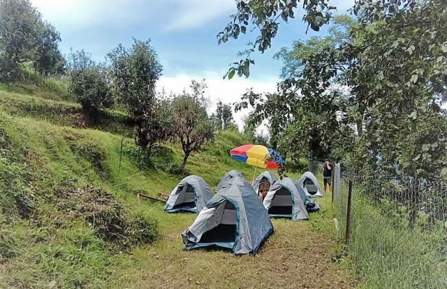 Janardan Campsite Kausani - Foto 7