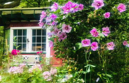 Studio im Haus Amselgarten - Foto 16