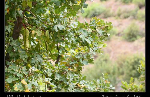 Villa Daskalogianni - Foto 56