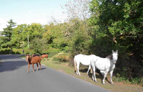 Wisteria Cottage - Foto 17