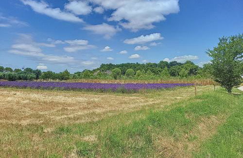 MAS provencal piscine - Foto 28