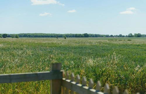 Wood Farm Stables - Sleeps 6-8 - Photo 11