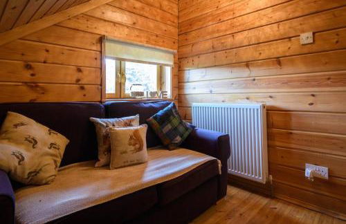 Red Squirrel log cabin with hot tub - Foto 23