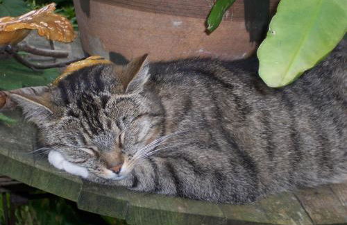 Atelier am Markt - Photo 38