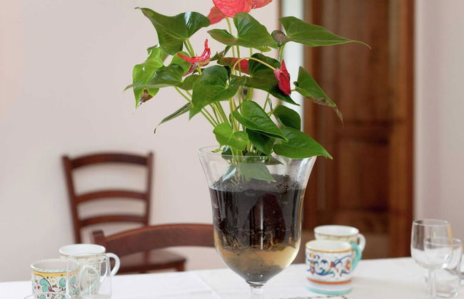 Farmhouse Near Lake Trasimeno With Pool - Foto 14