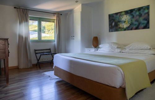 Vale De Ferreiros - Foto 79