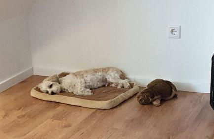 FeWo Waldblick - Foto 6