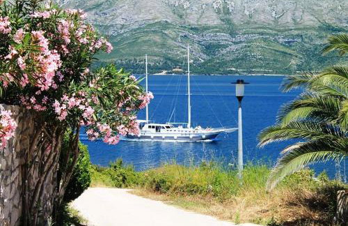 Studio Manora Sucuraj - Foto 26