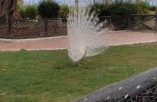 Apartamento Costa Marina 3 - Photo 40