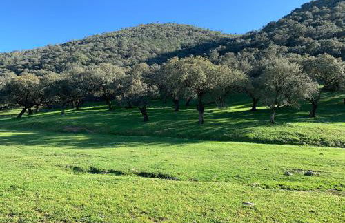 Casa Rural Sierra Tórtola 2 - Foto 83