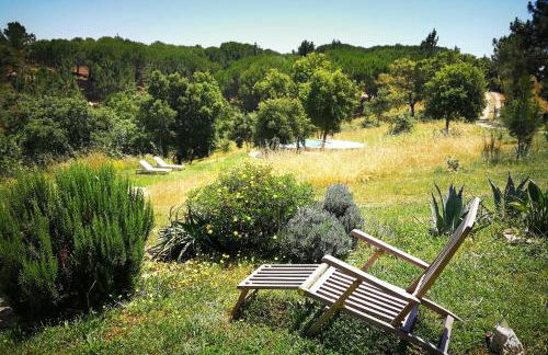 MOBA - Monte do Barranquinho - Foto 50