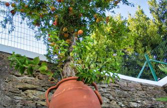 Monte Alecrim - Foto 31