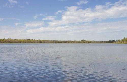 Quiet Deer River Cabin with Dock and Lake View! - Foto 24