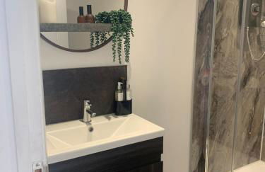 The Little Red lion - Foto 9