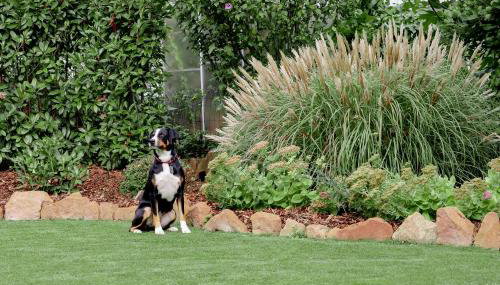 Ferienwohnung Sonnenschein - Foto 2, Garden, Garden view