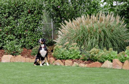 Ferienwohnung Sonnenschein - Foto 2