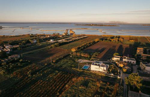 Martina's Vineyard - villa - Foto 6