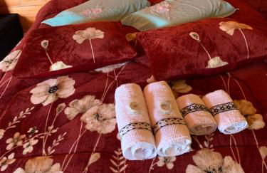 POUSADA FAZENDA PAIM - Foto 43