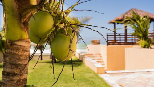 Casa da Estrela - Photo 4