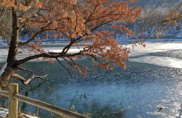 Dimora Visconti - Foto 57