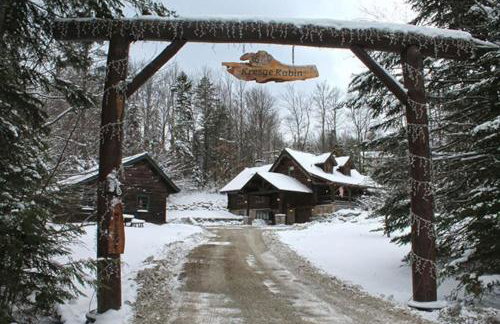 The Kresge Kabin - Authentic Grand Log Cabin. - Foto 1