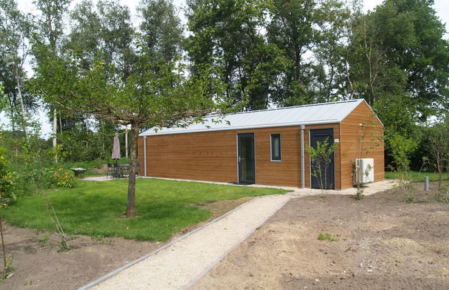 Forest Lodge 4 - Photo 6