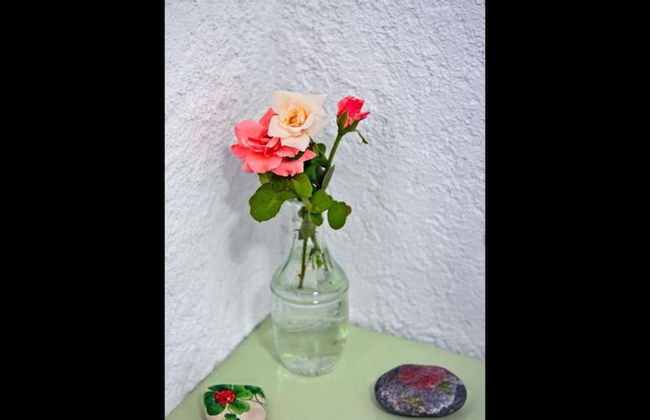 Apartments With Garden View, Creta, Ierapetra - Foto 37