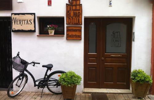 Apartamentos La Buhardilla - Photo 28