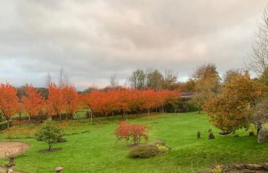 The Cottage at Well House - Foto 15