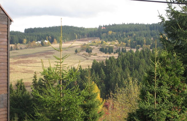 Lavish Holiday Home in Abertamy near Ski Area - Photo 24