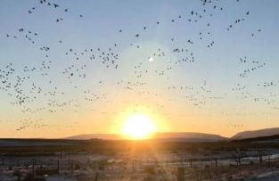 Scorrabrae Orphir Mainland Orkney South Shore Retreat - Photo 14