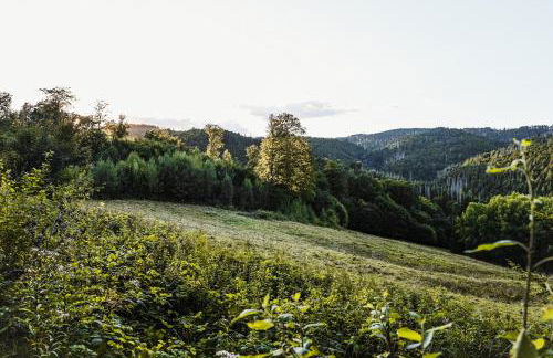 Talblick 5, mit Sauna und wunderschönen Panoramablick NEU - Foto 66