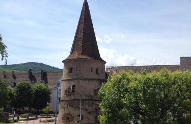 Gîte Sonnenberg - Foto 15