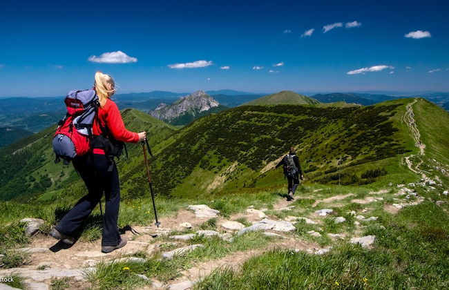 Mucha Apartments - Photo 9