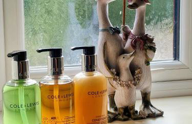 Mickledale at Wetheral Cottages - Foto 14