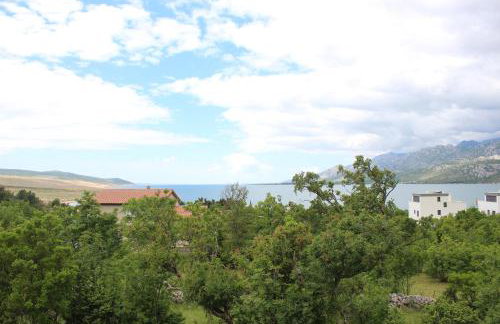 Apartments Bonaca Rovanjska - Foto 41