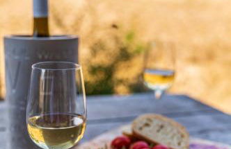 vineLodge L - Foto 16